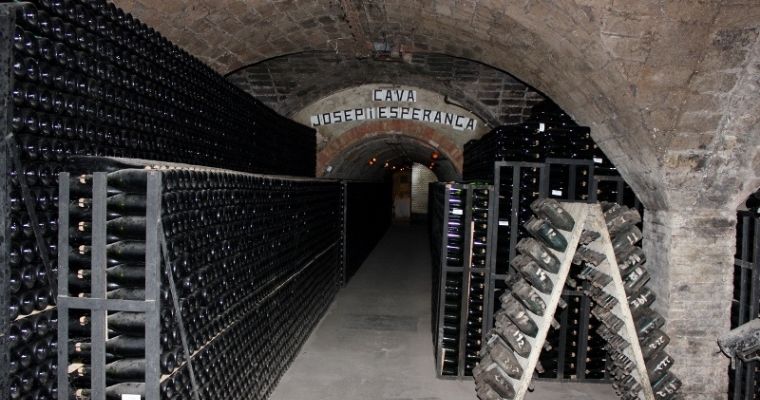 Cava being made in the depths of a Spanish cave