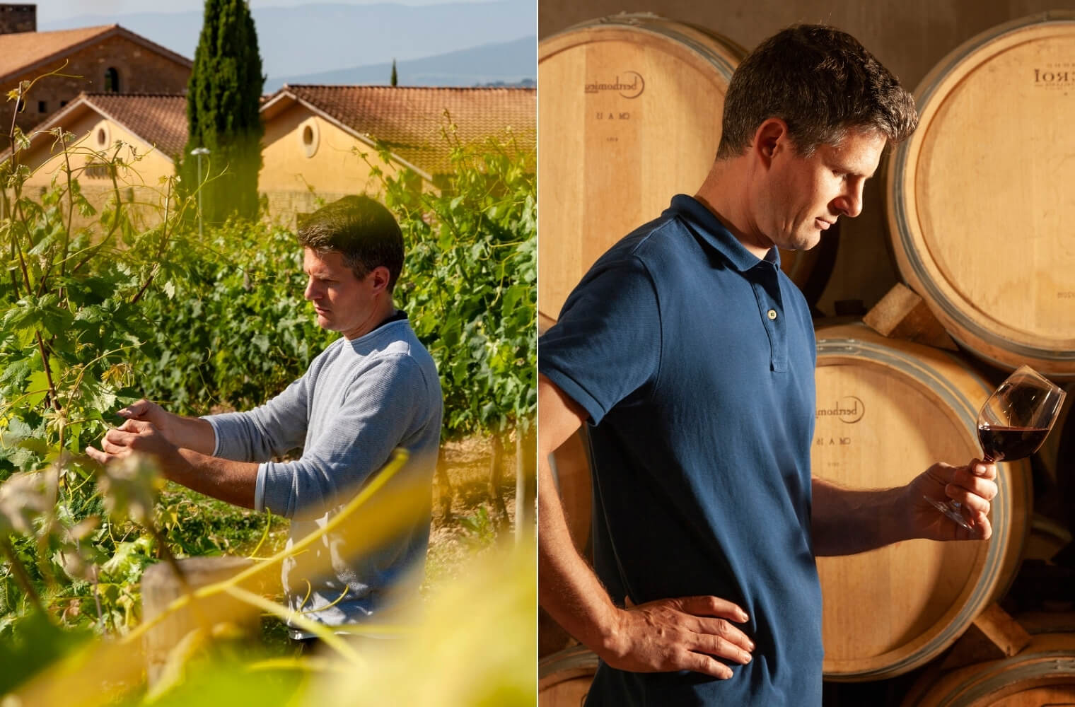 Wineologist