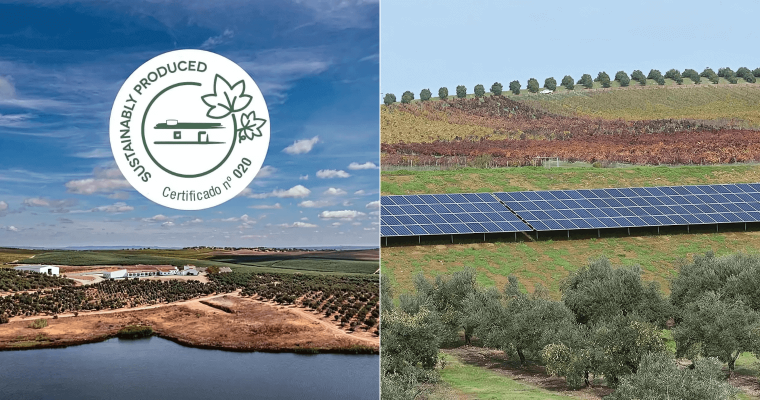 Sustainable Production Seal and (Right) renewable energy sources - solar panels.