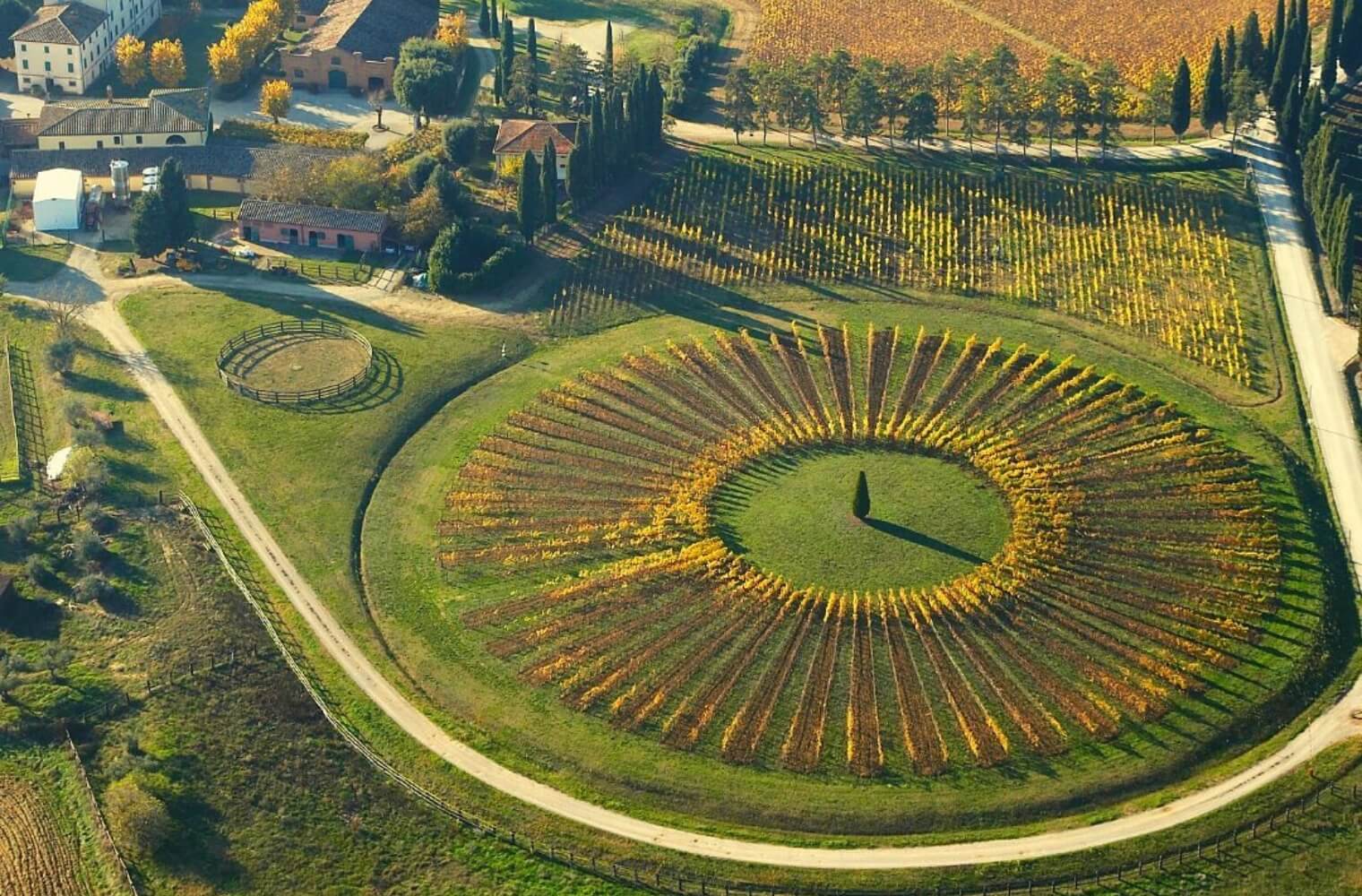 Avignonesi’s La Tonda and La Stella vineyards