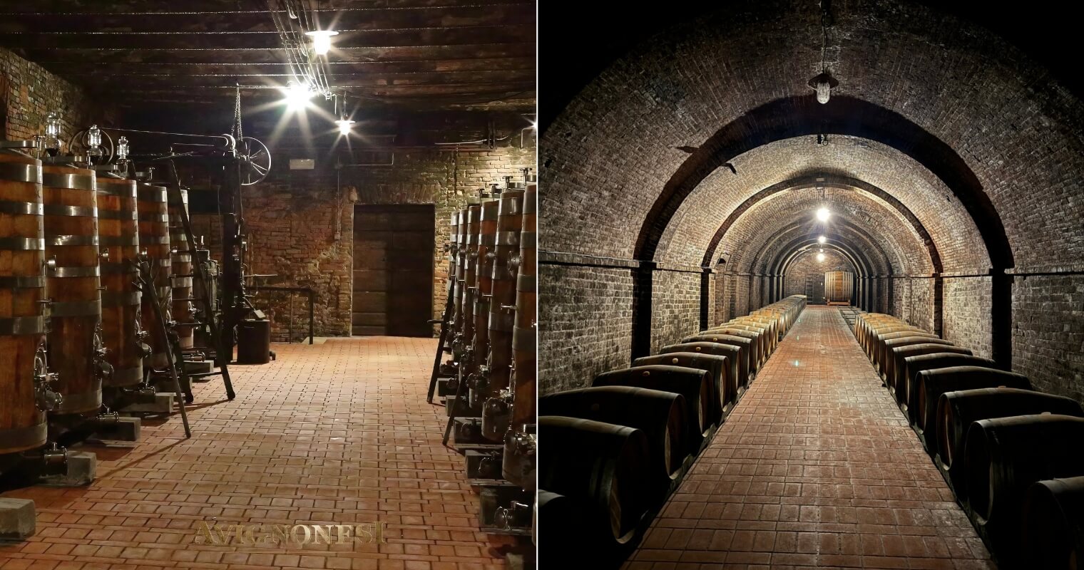 Avignonesi winery and cellar with wine reserves