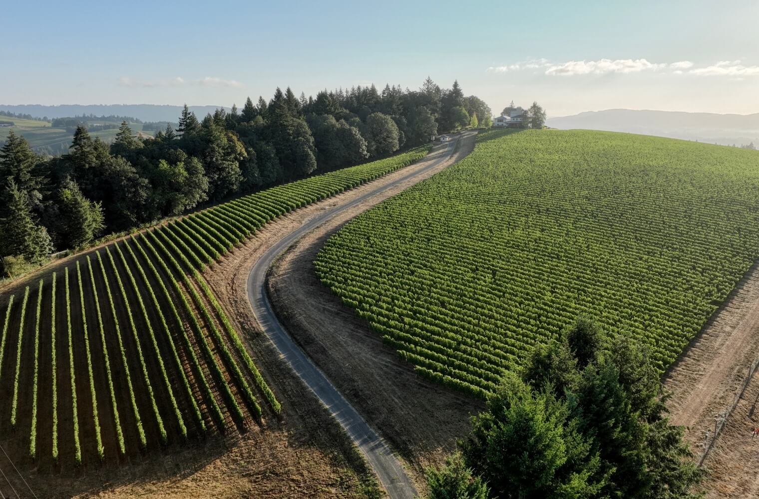 Clos de Lune Vineyard Chardonnay