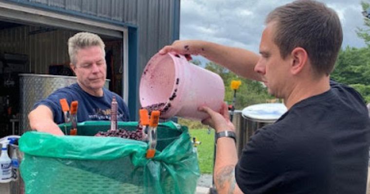 Mark Pagliaro & Brian Crew loaded Pinot Noir grapes into the press 