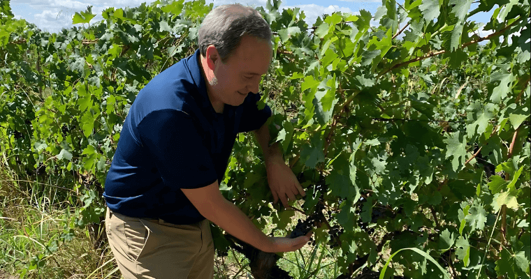 Sommeliers Choice Awards brand and category ambassador Zane Holscher