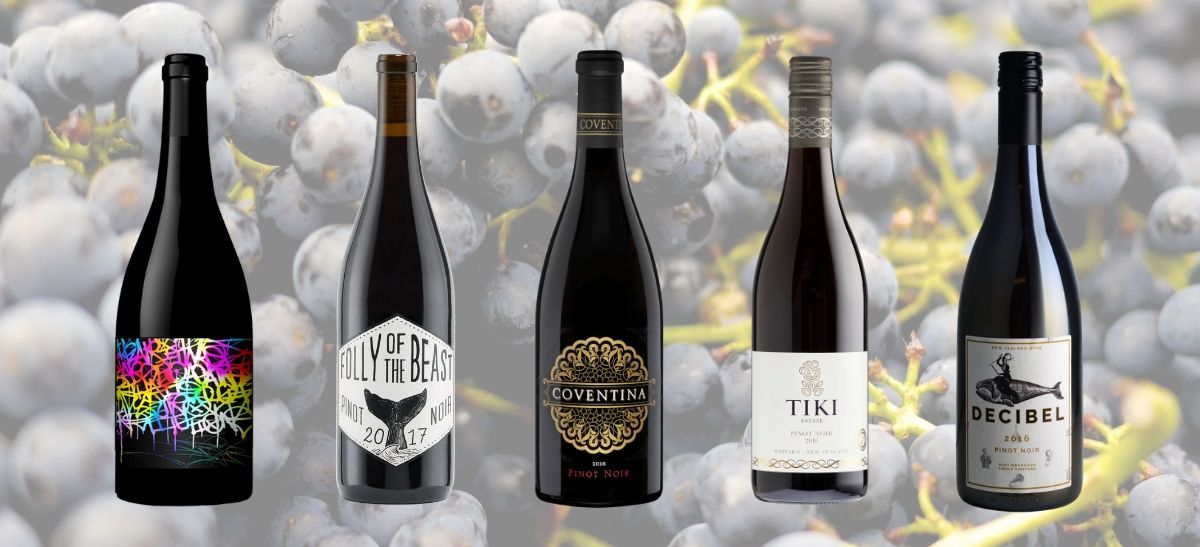 20 top-scoring Pinot Noir wines to try - Decanter