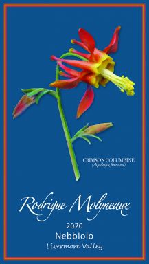 Logo for: Rodrigue Molyneaux Winery Nebbiolo