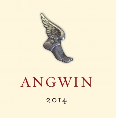 Logo for: ANGWIN