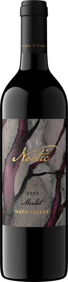 Photo for: Noetic