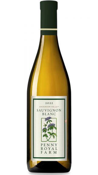 Photo for: Sauvignon Blanc