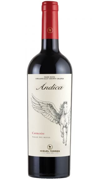 Photo for: Andica Carmenere