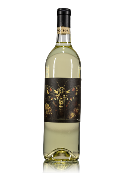 Photo for: Estate Sauvignon Blanc