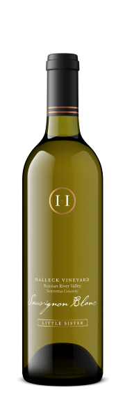 Photo for: Sauvignon Blanc North Coast Little Sister, 2023